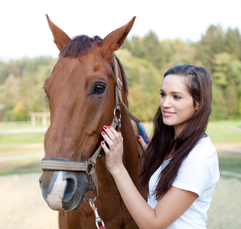 Equine Therapy for Addiction