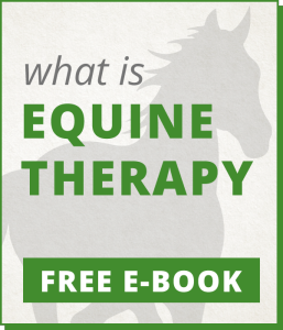 Equine Therapy E-Book