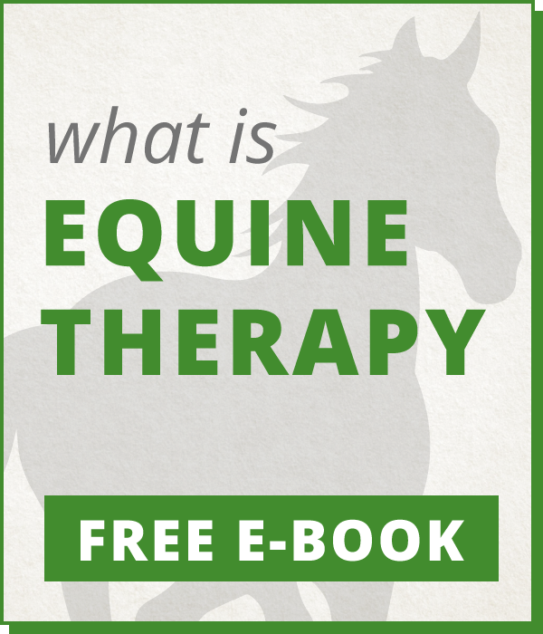 Equine Therapy Angel's Recovery
